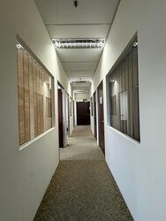 Zervex (D14), Factory #533546971
